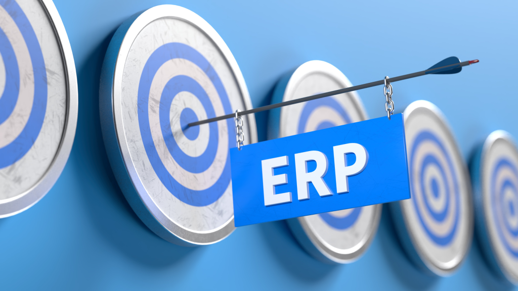 ERP (Enterprise Resource Planning)