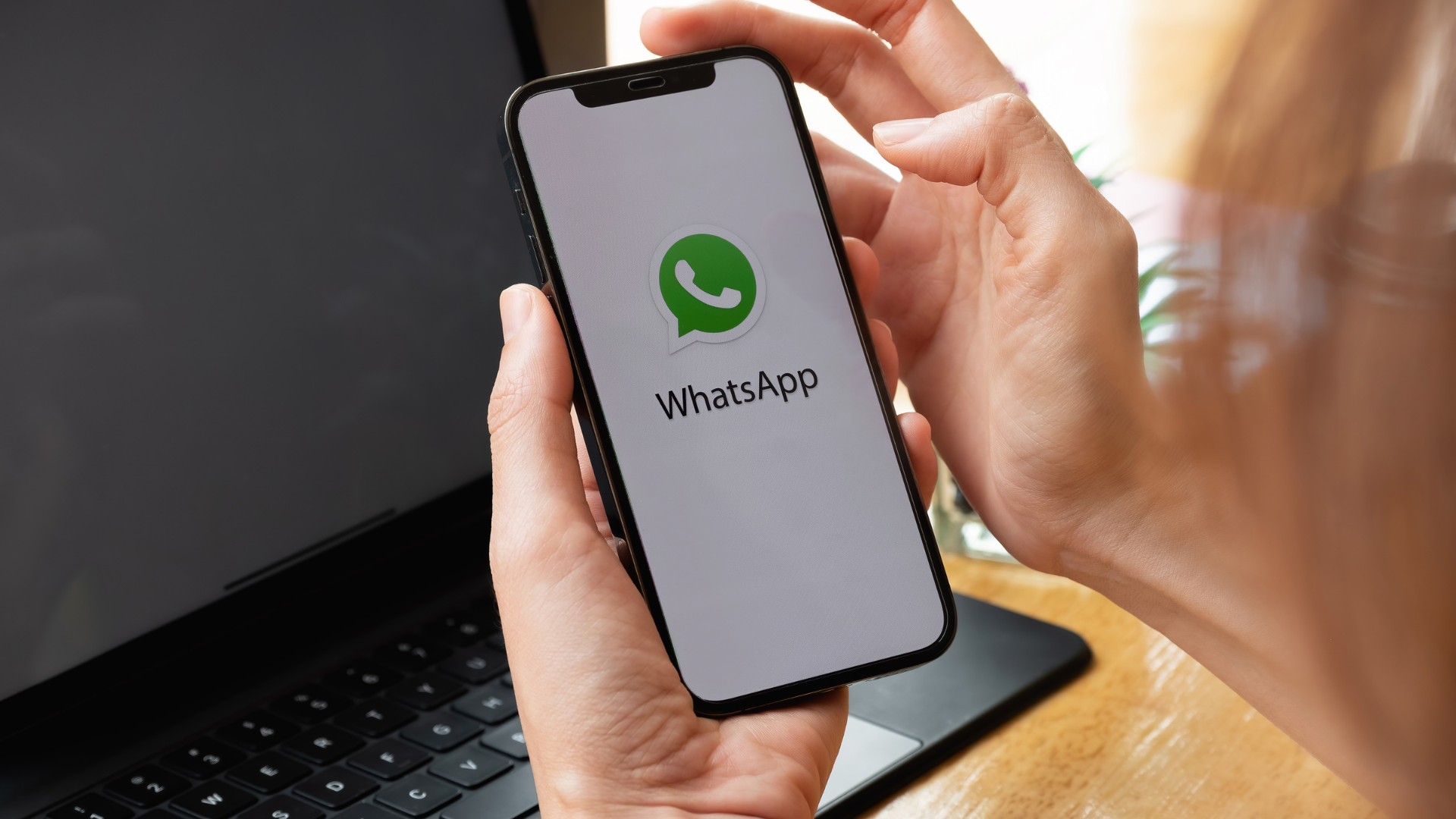 WhatsApp vs WhatsApp Business vs WhatsApp Cloud API
