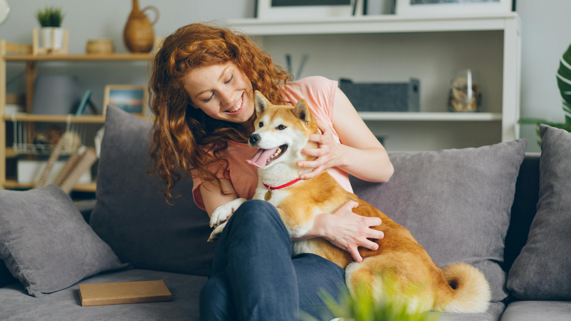 How Pet Care Businesses Can Use Automation to Improve Bookings, Build Trust, and Deliver Better Experiences